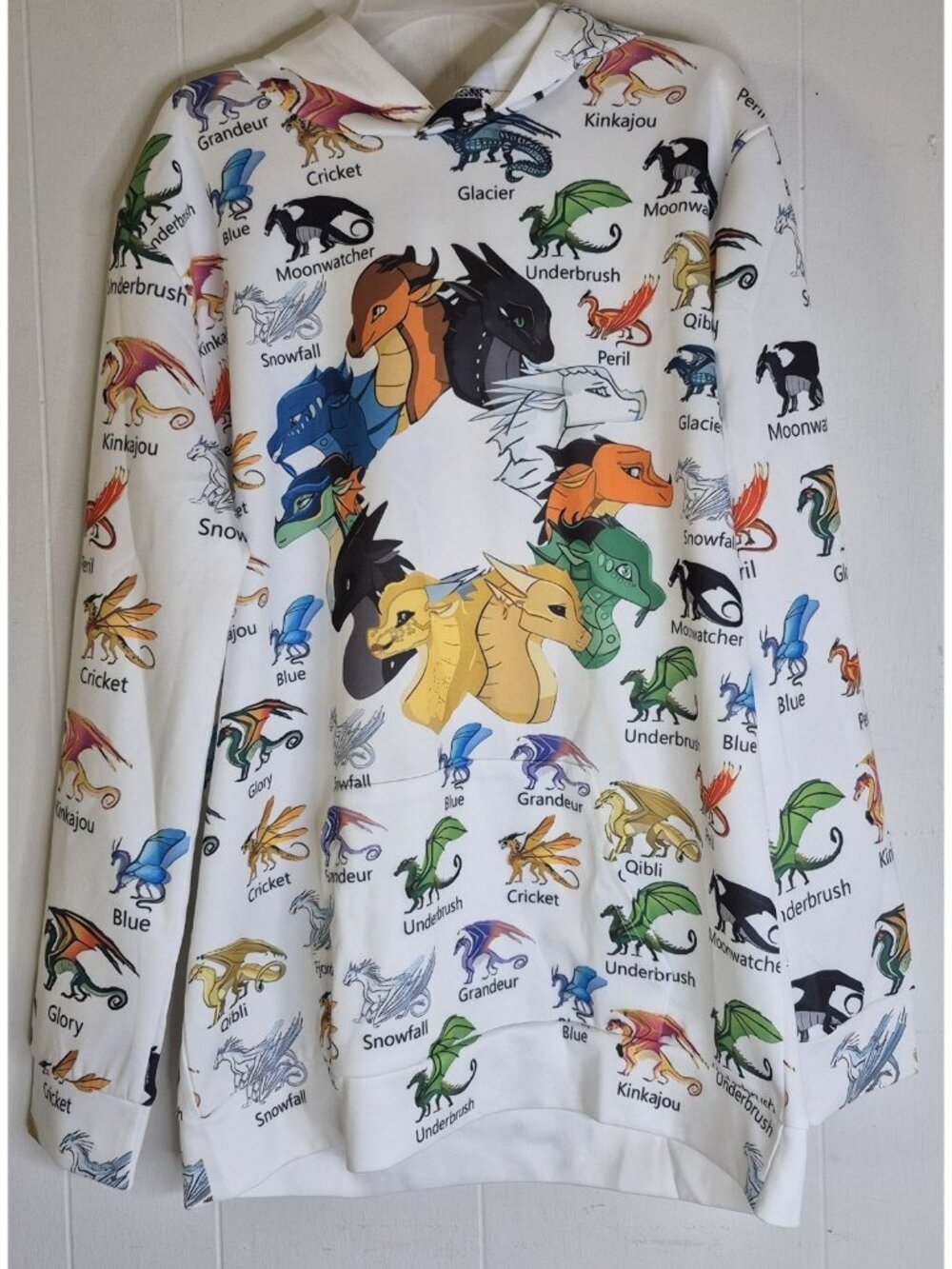 Wings Of Fire Pullover Hoodie Youth Boys Size XL